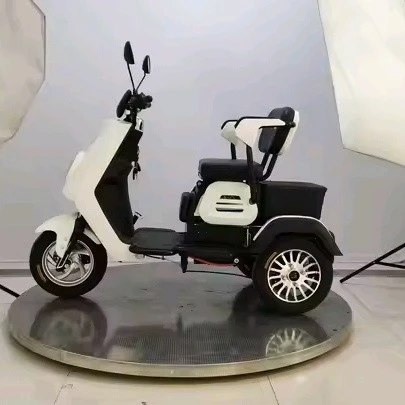 2 person electric trike (1)