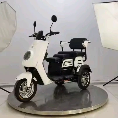2 person electric trike (6)
