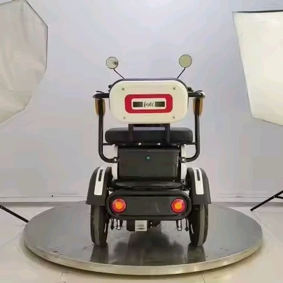 2 person electric trike (4)