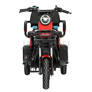 info-1-1 Electric Passenger Tricycle EEC (4)