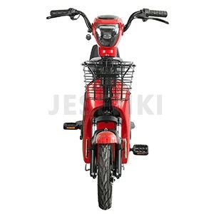 Portable Electric Scooter (4)
