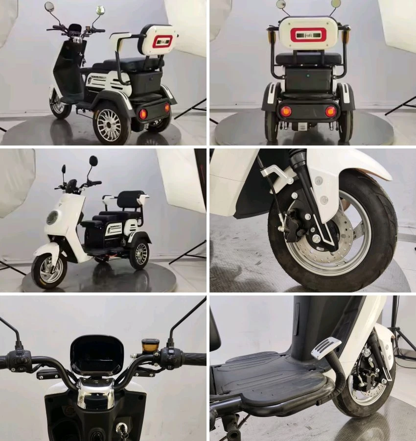 2 person electric trike 2