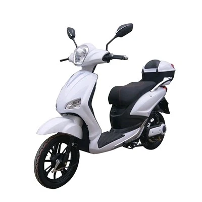 800W 48V Electric Motorcycle