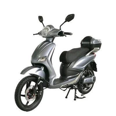 EEC 800W Electric Scooter Motorcycle